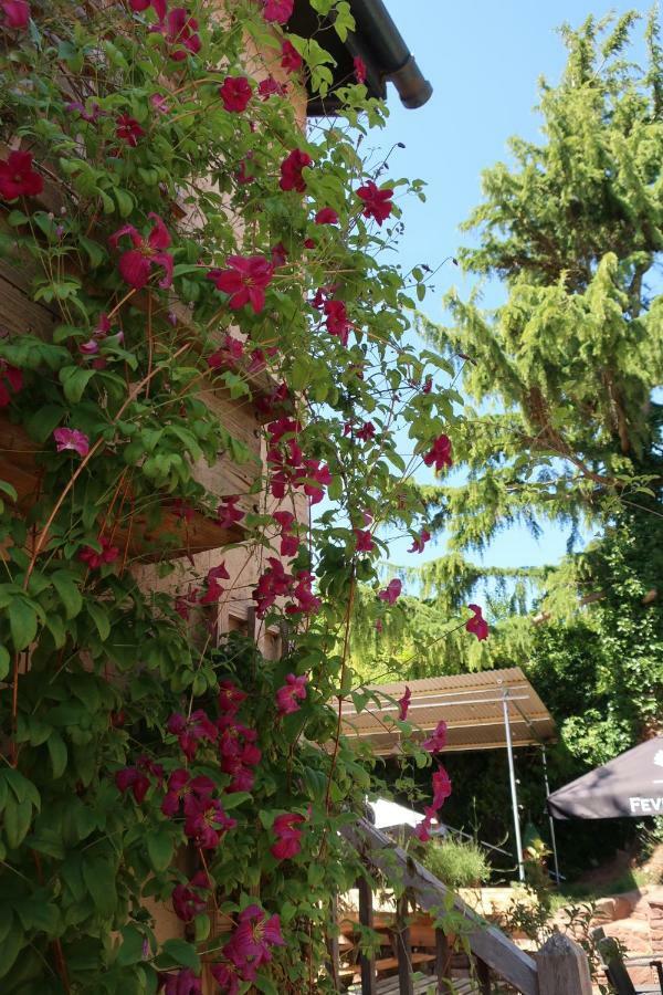 The Lamb Inn Кредитън Екстериор снимка